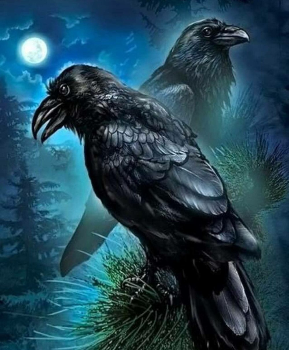Raven Nevermore