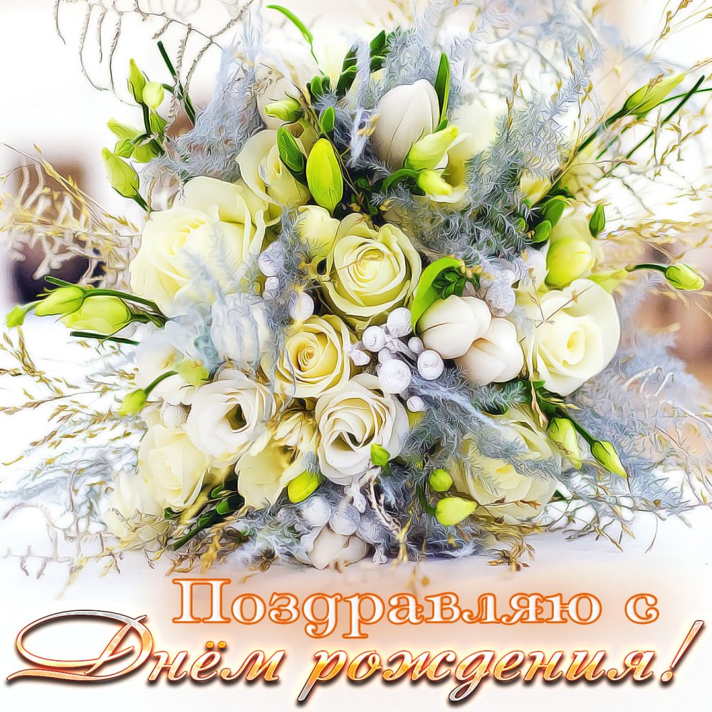 Красивые белые розы