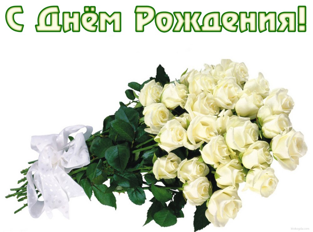 Открытки с днем рождения белые розы
