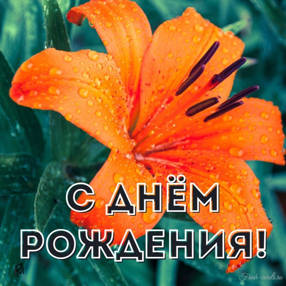 Лилия май Веддинг