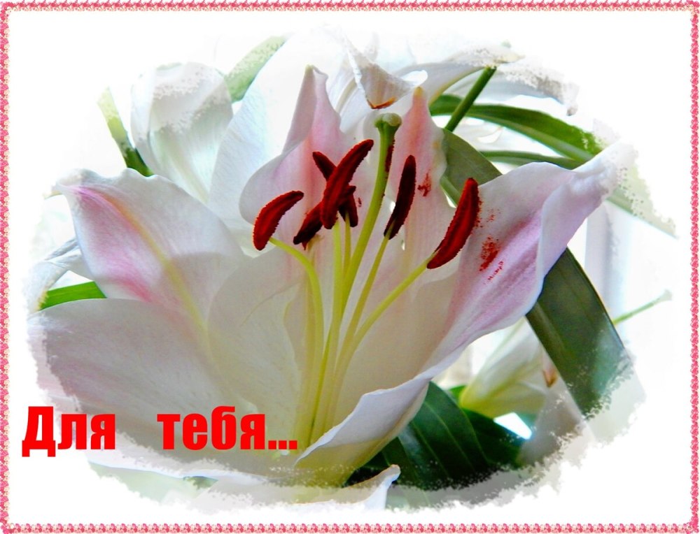 С днём рождения лилии