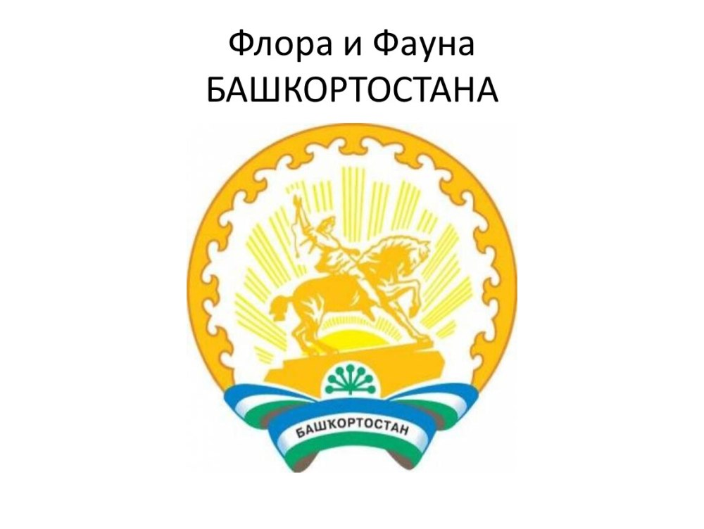 Флаг и герб Башкирии