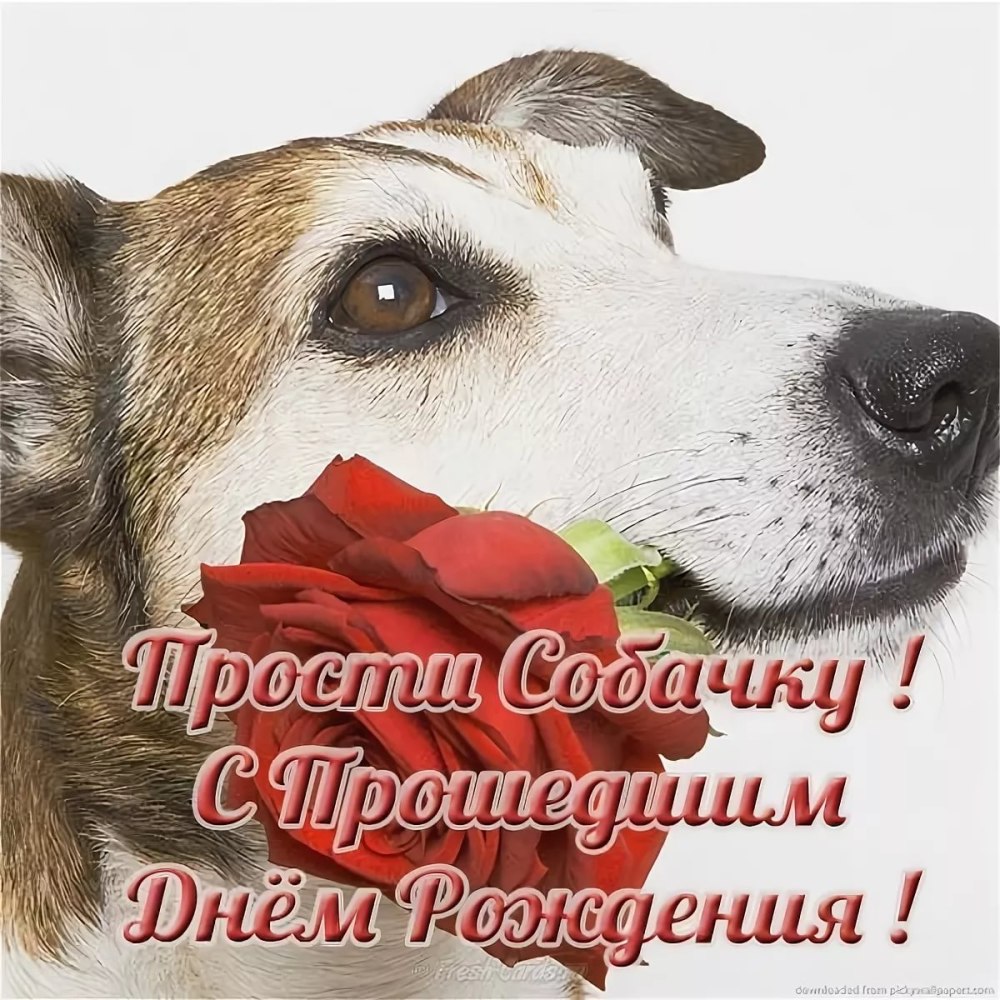 С днём рождения Татьяна Сергеевна