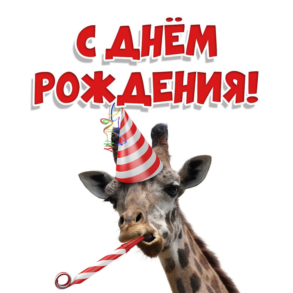 День варенья