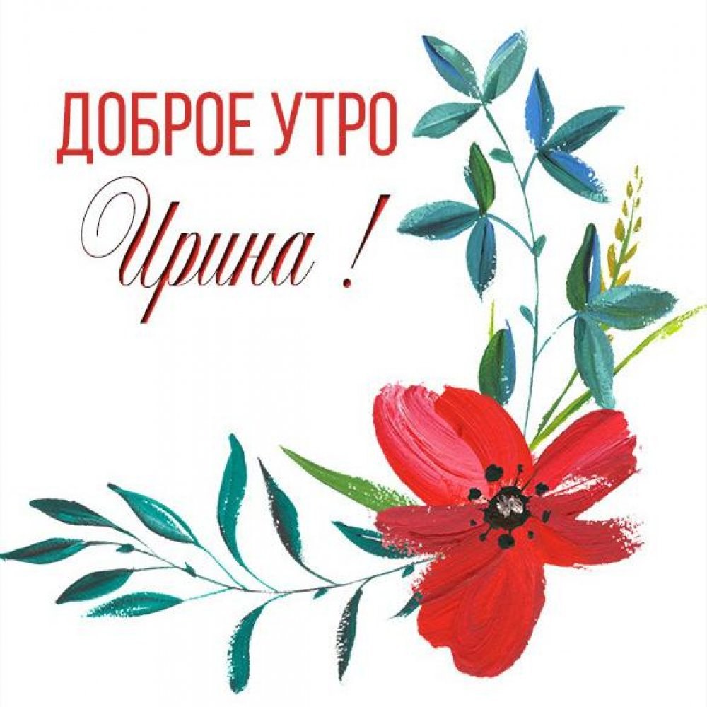 Доброе утро Таня