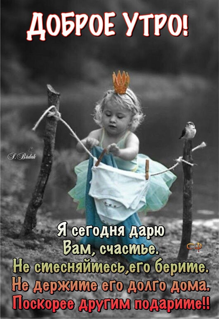 Доброе утро красотка