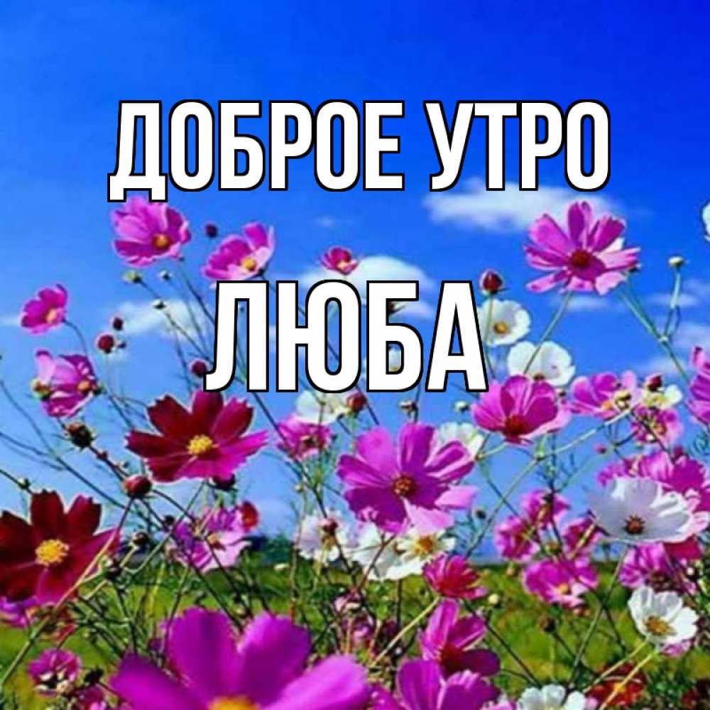 Море цветов и любви