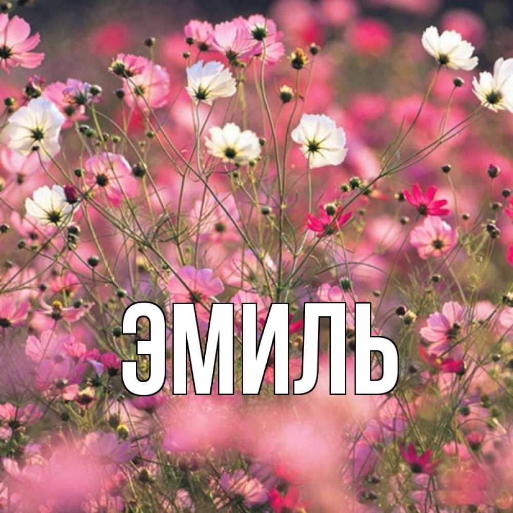 Открытка для Наташи просто так