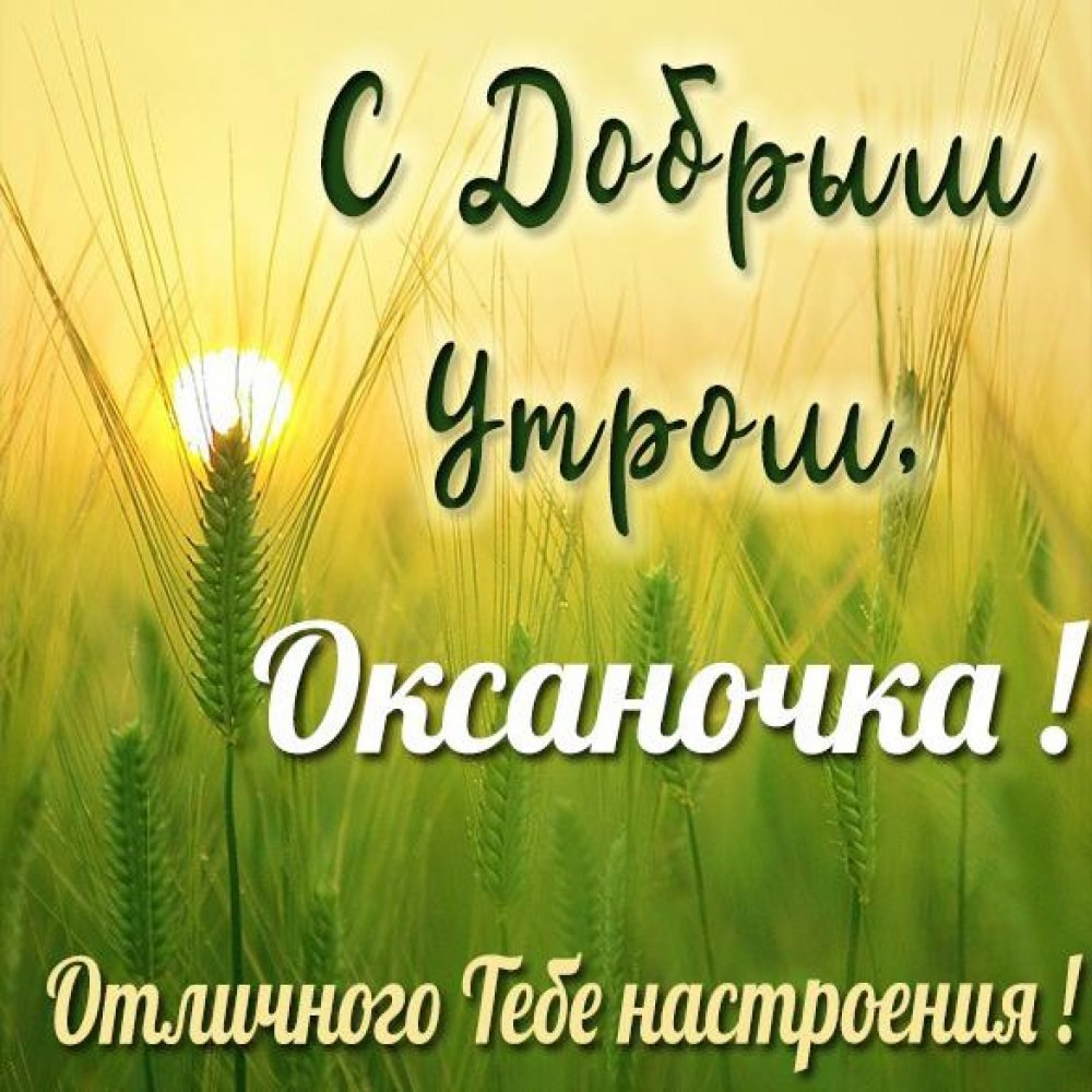 Красивые белые цветы