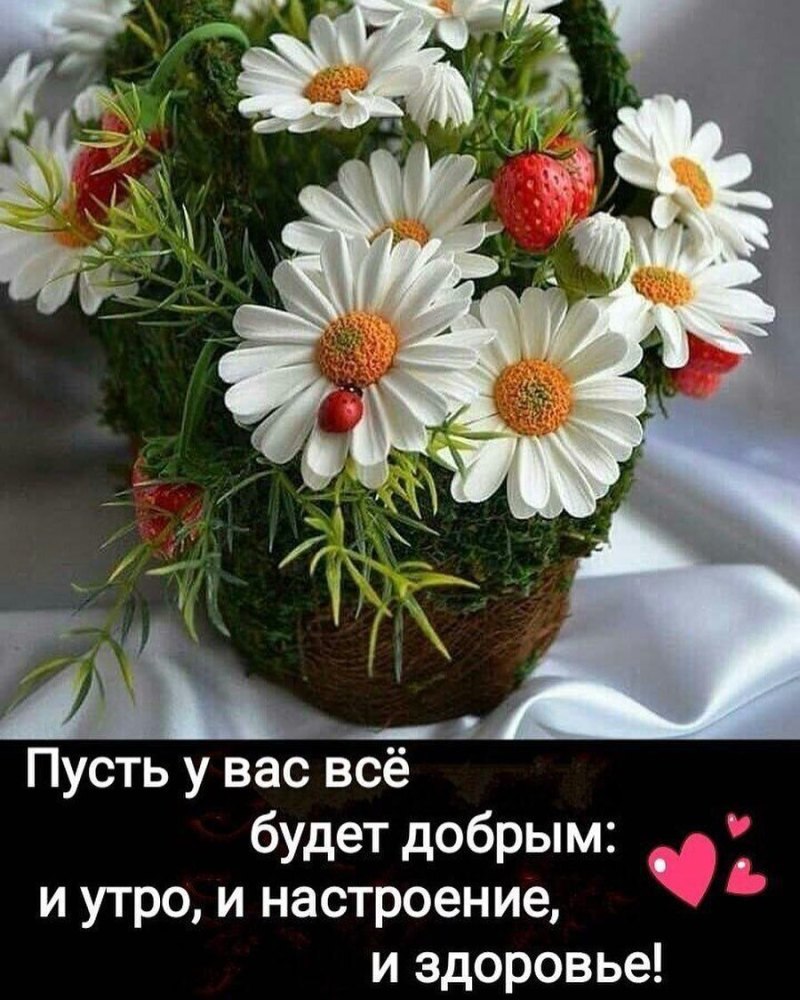 Даша и Влад