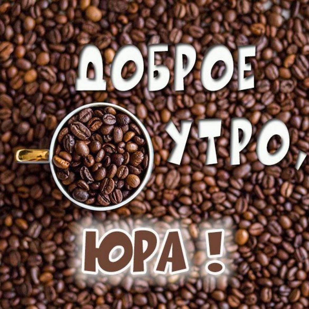 Чашка с кошкой