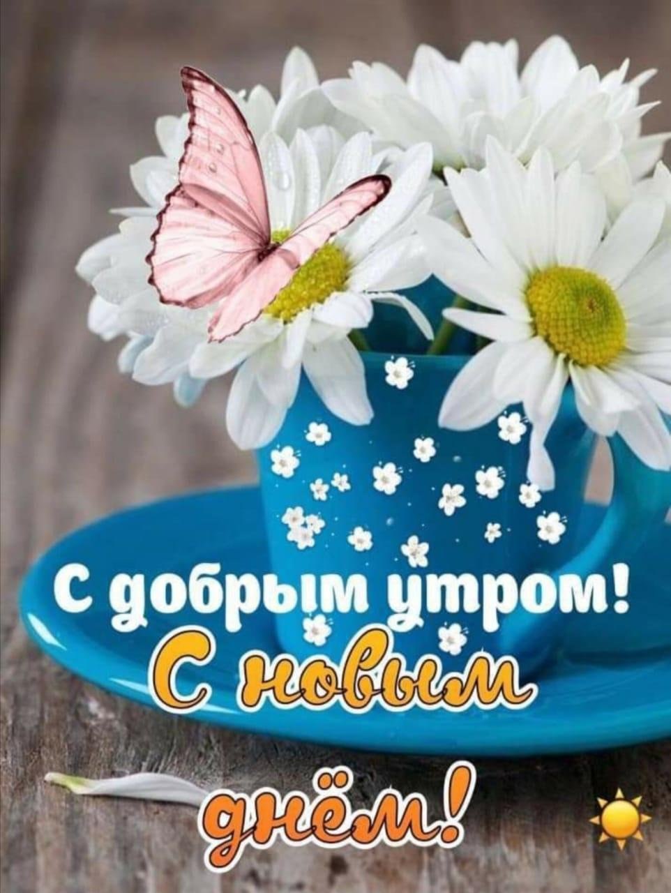 С добрым утром Наташа картинки