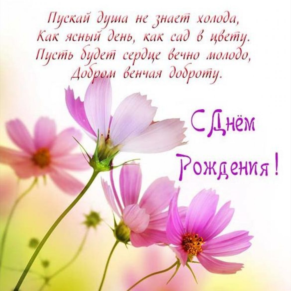 Поздравления с днём рождения