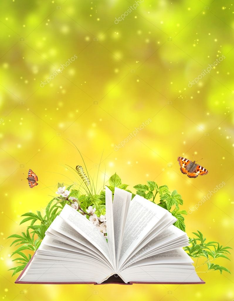 Книга на зелёном фоне