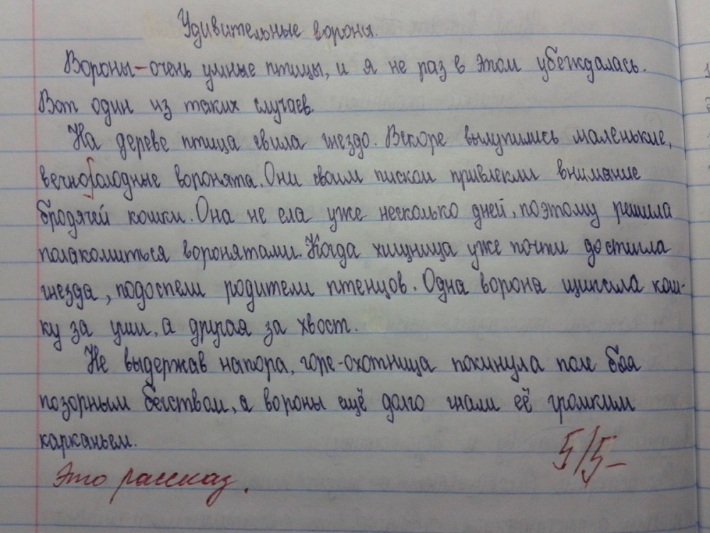 Компот и пиксель шип арт