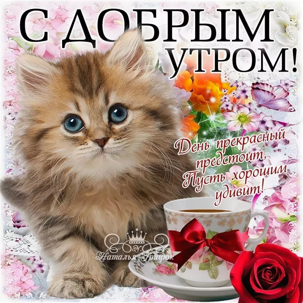 Наташка милашка