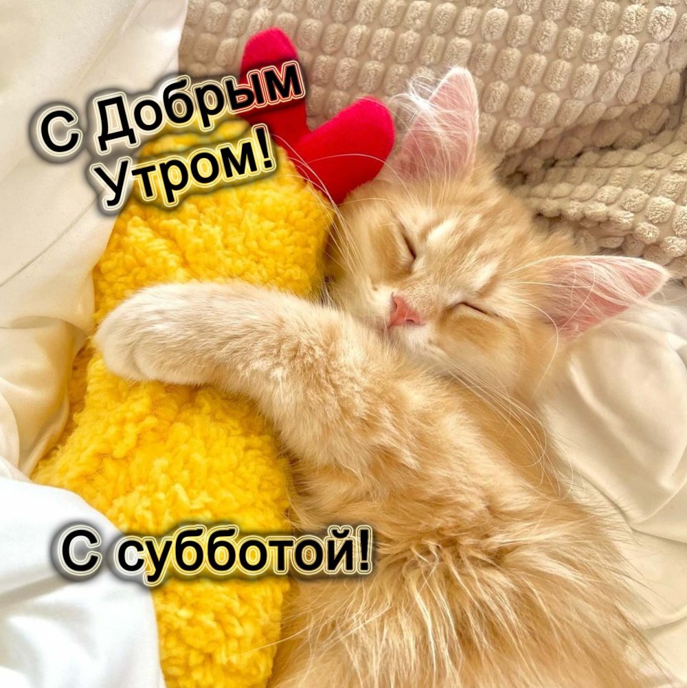 Доброе утро Наташа
