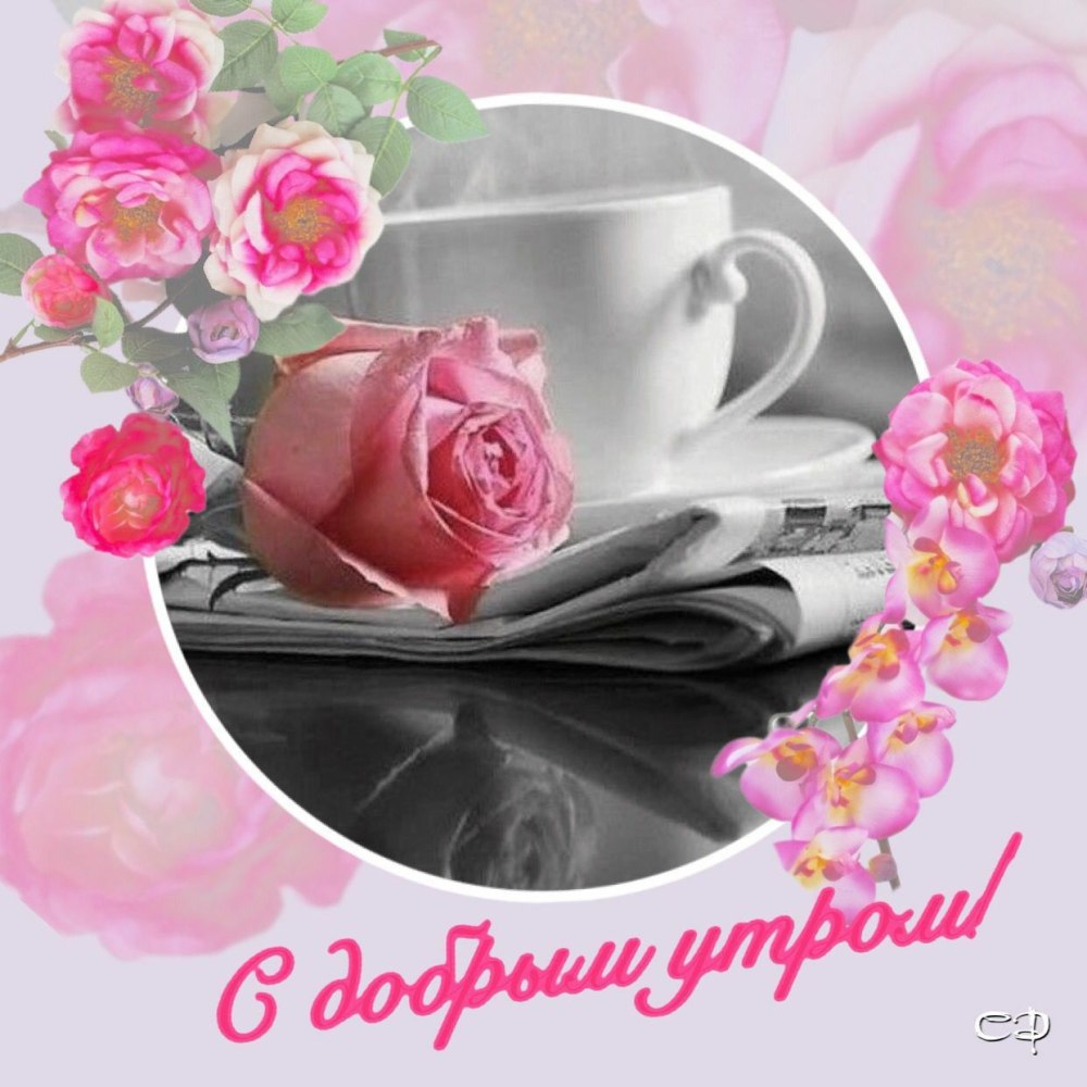 Доброе утро клубника