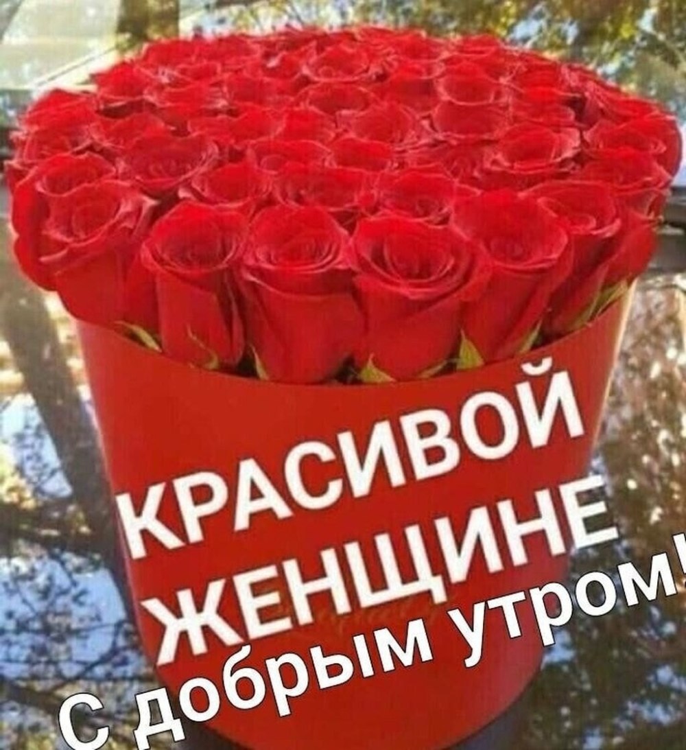 Ромашки утро
