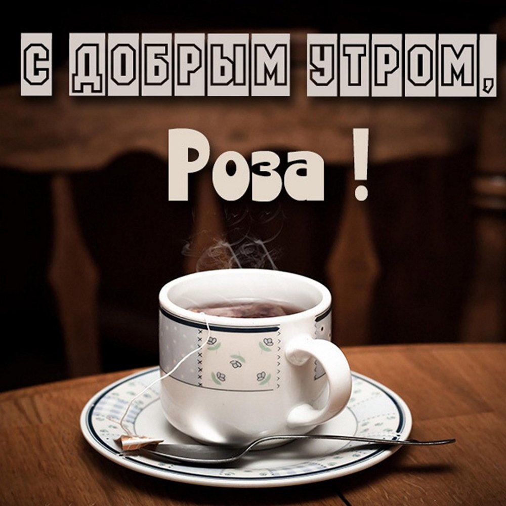 Котенок желает доброго утра