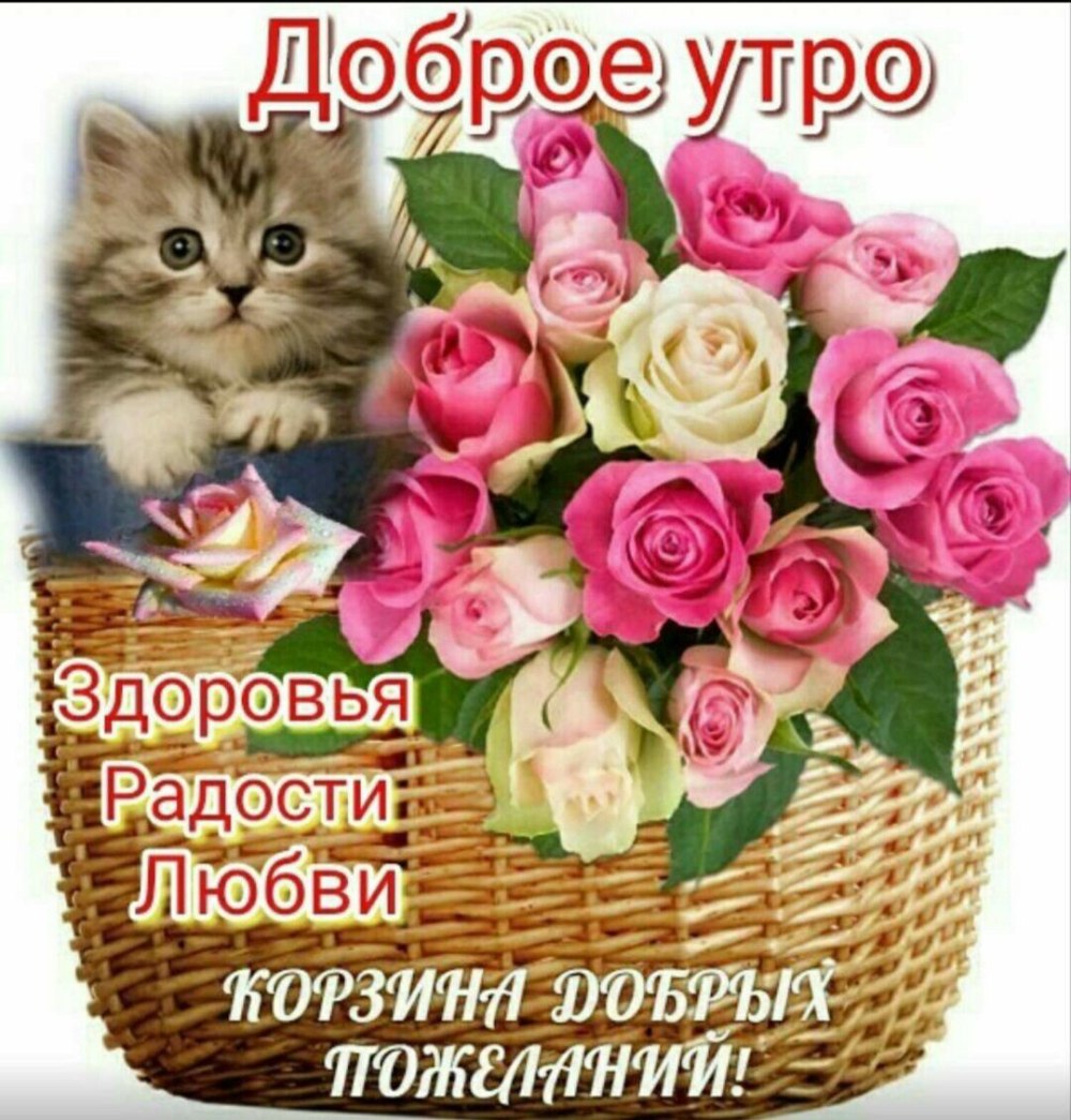 Доброе утро Алые паруса
