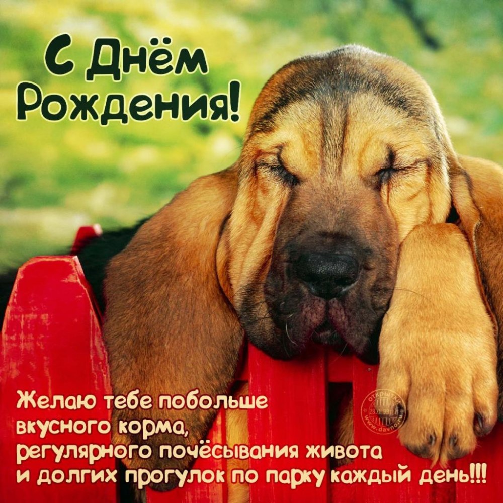 Смешные поздравления с днем рождения