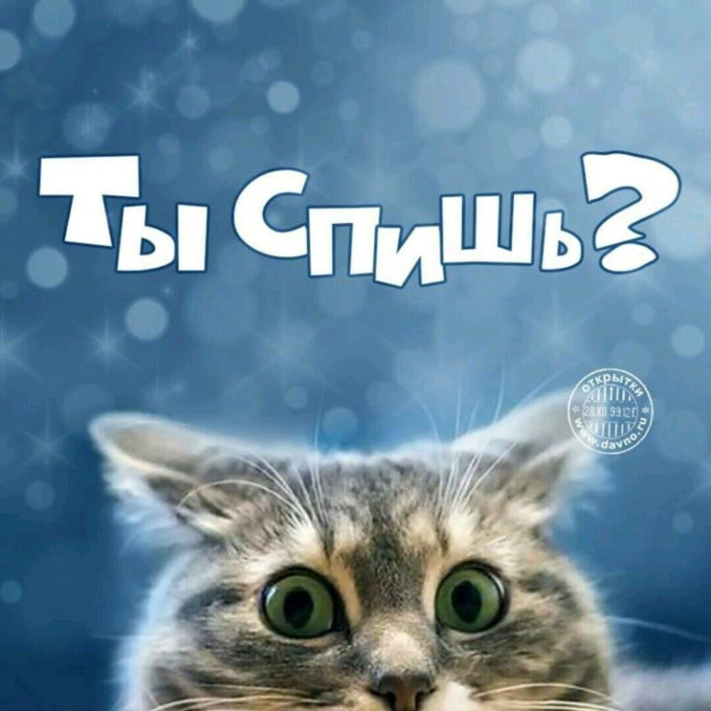 С днем рождения