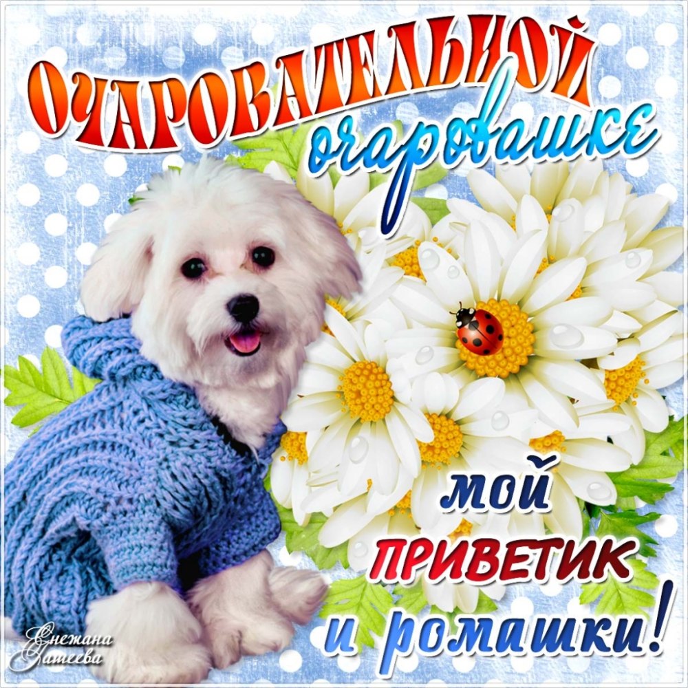 Тортики на день рождения