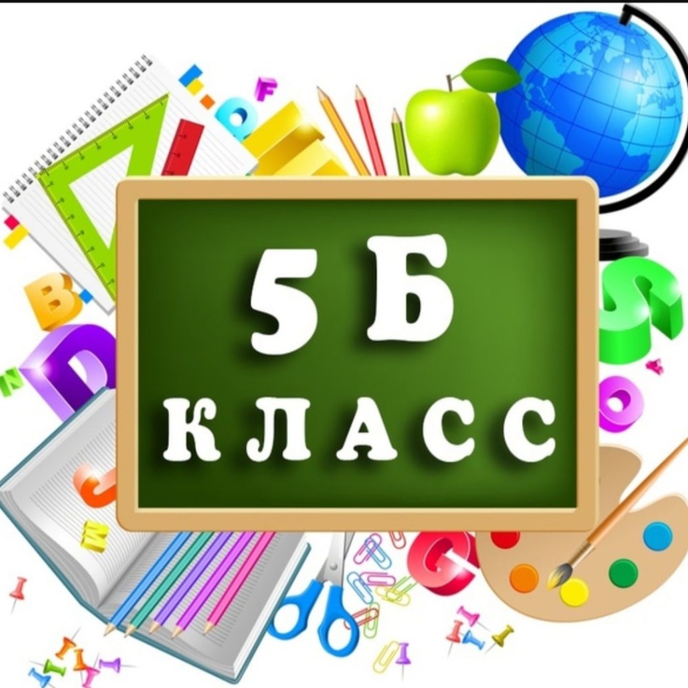 Школа 5 б класс