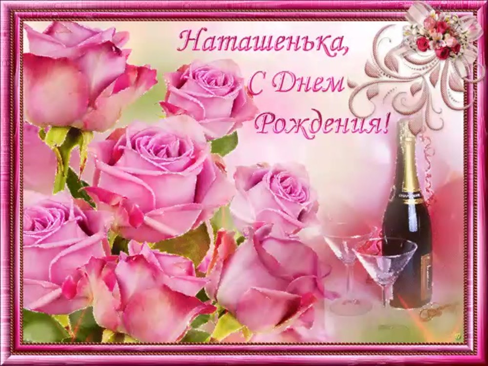 Красивые орхидеи
