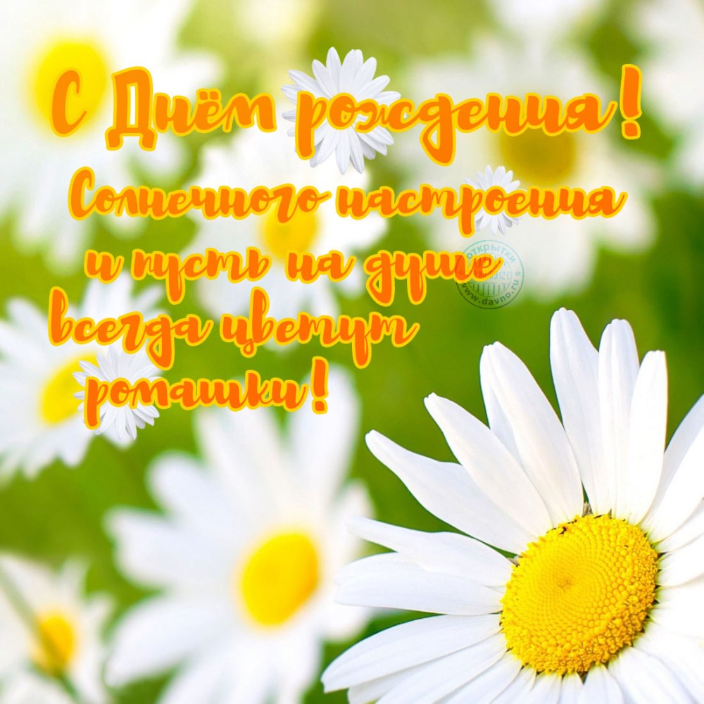 С днём рождения Светачка