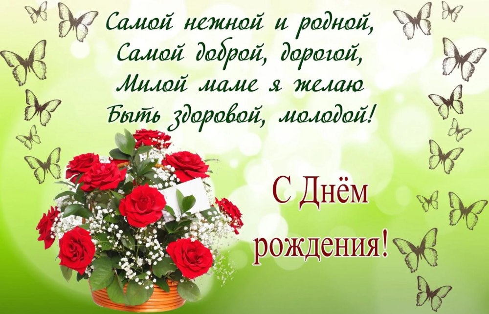 Цветы белые розы