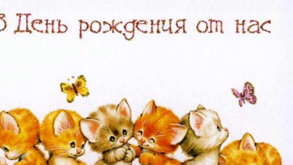 С днем рождения