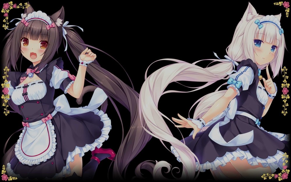 Shikimori's not just a cutie