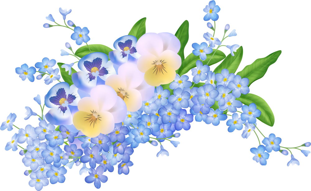 Цветы без фона