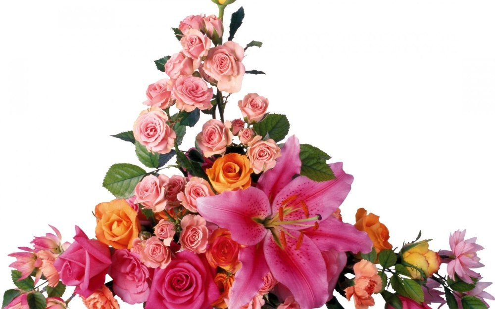 Barnali Bagchi Flower