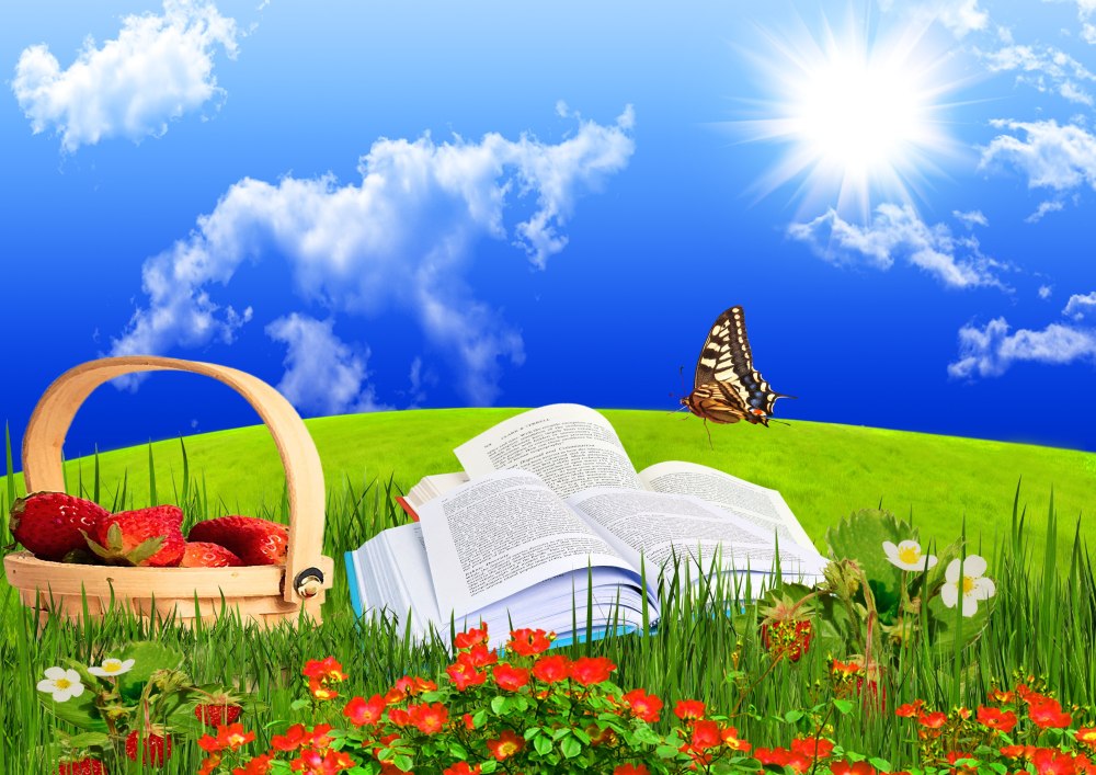 Лето книга фон
