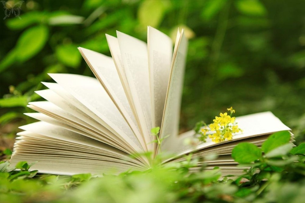 Раскрытая книга