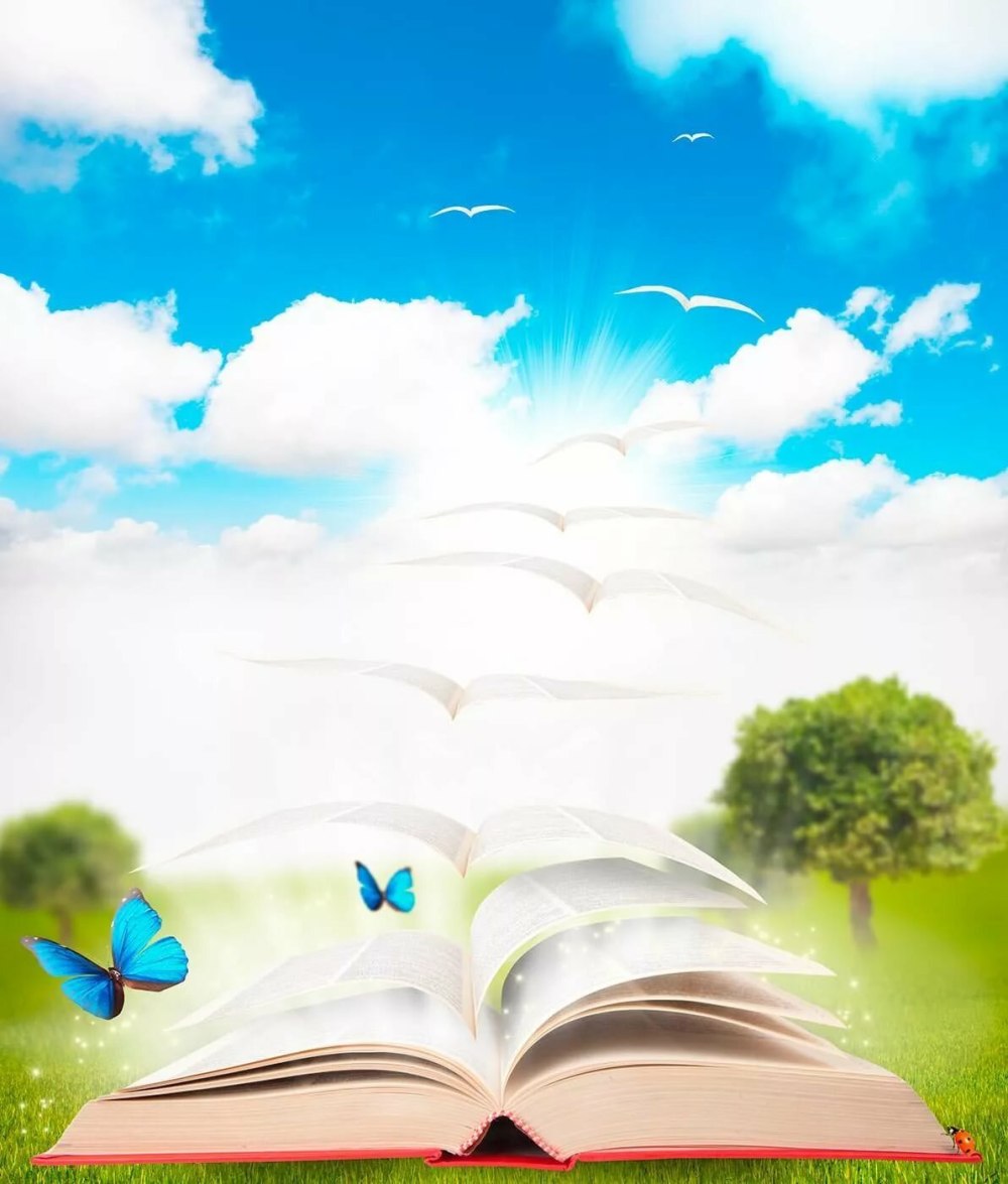 Фон для презентации лето с книгой
