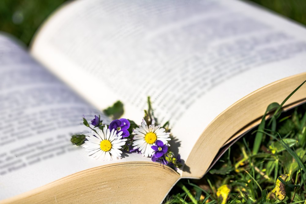 Книга летом