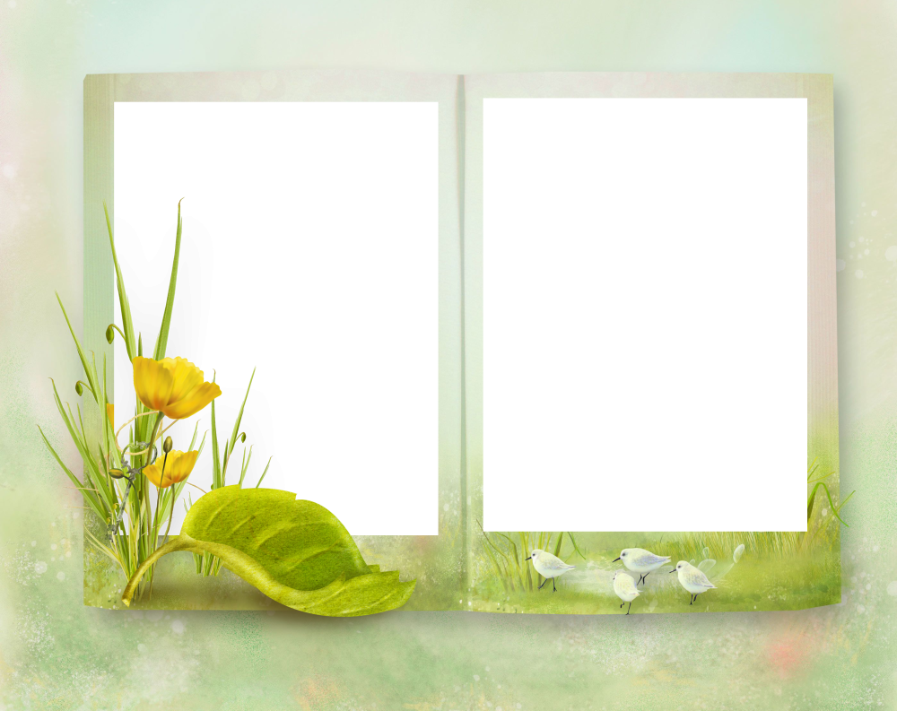 Рамка книги