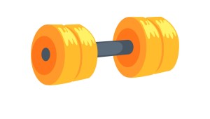Гантеля на прозрачном фоне