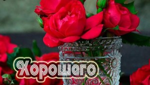 Всем доброго понедельника
