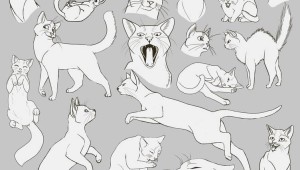 Кошка сидит референс