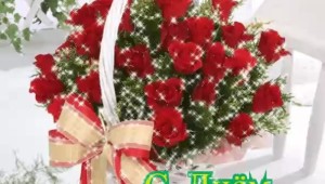 Открытки с днем рождения девушке красивые по именам алина