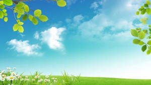Природа для презентации