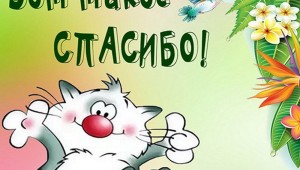 Открытка большое спасибо очень приятно
