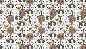 Обои с нарисованными котиками