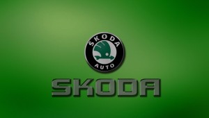 Обои на телефон шкода