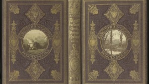 Текстура для книги